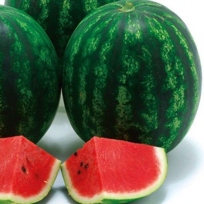 Семена арбуза Марана F1 (1000 шт) Libra Seeds